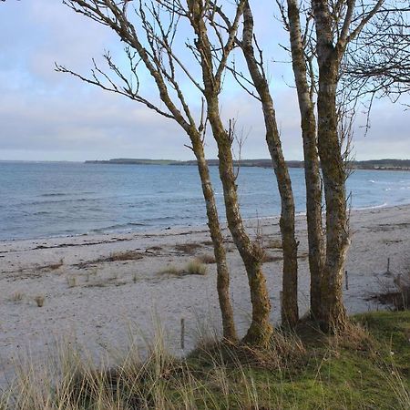 Apartmán Kleine Landliebe Hohwacht Exteriér fotografie