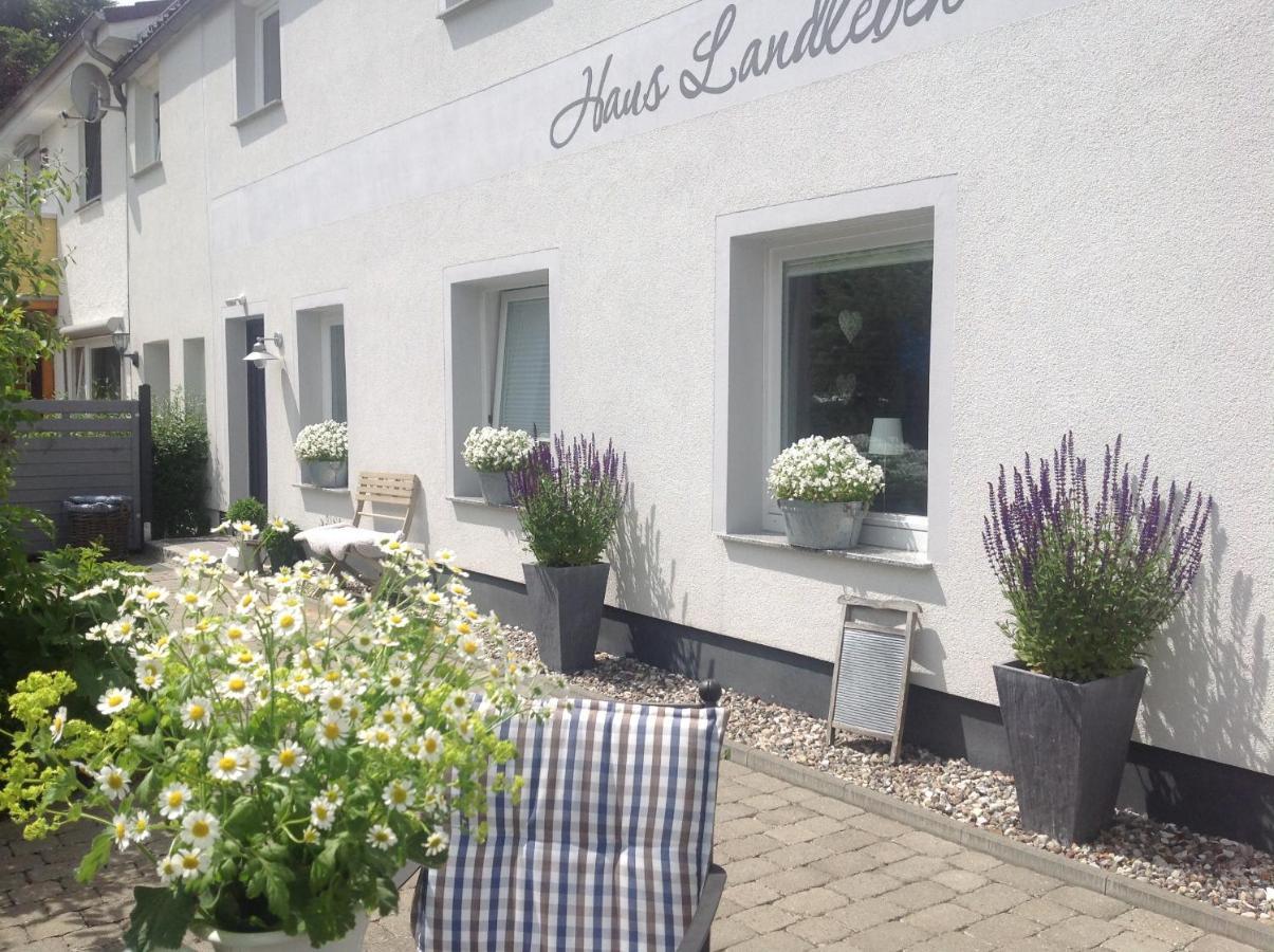 Apartmán Kleine Landliebe Hohwacht Exteriér fotografie